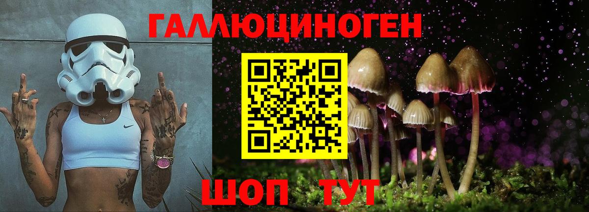 Псилоцибиновые грибы прущие грибы  Галлюциногенные грибы Cubensis  Вход с VPN  где найти   Оренбург 